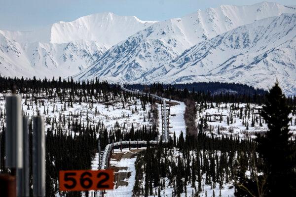 A part of the Trans Alaska Pipeline System runs through boreal forest past Alaska Range mountains near Delta Junction, Alaska, on May 5, 2023. (Mario Tama/Getty Images)