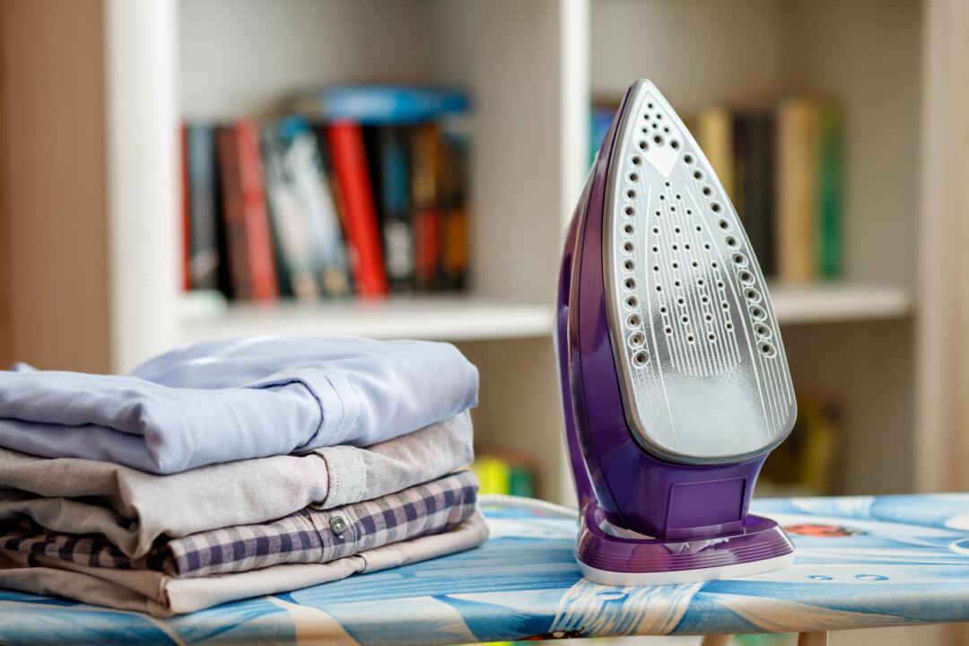 Please, Can’t Someone Make a Decent Steam Iron?!