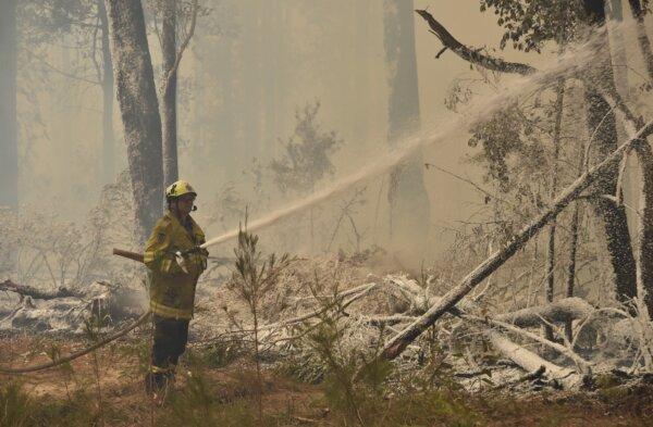 A firefighter sprays foam retardant on a backburn in Jerrawangala, Australia, on Jan. 1, 2020. (Peter Parks/AFP via Getty Images)