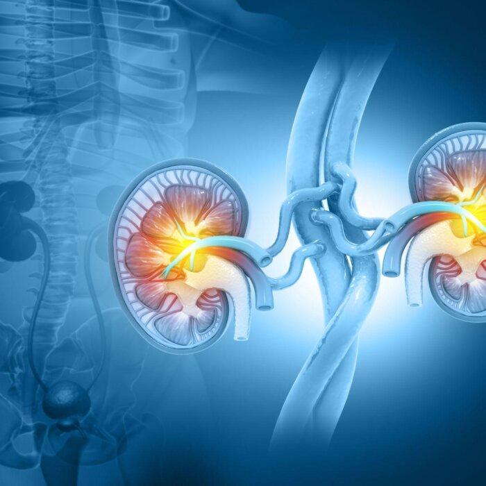 Early Signs of Kidney Disease and Ancient Ways to Protect Your Kidneys