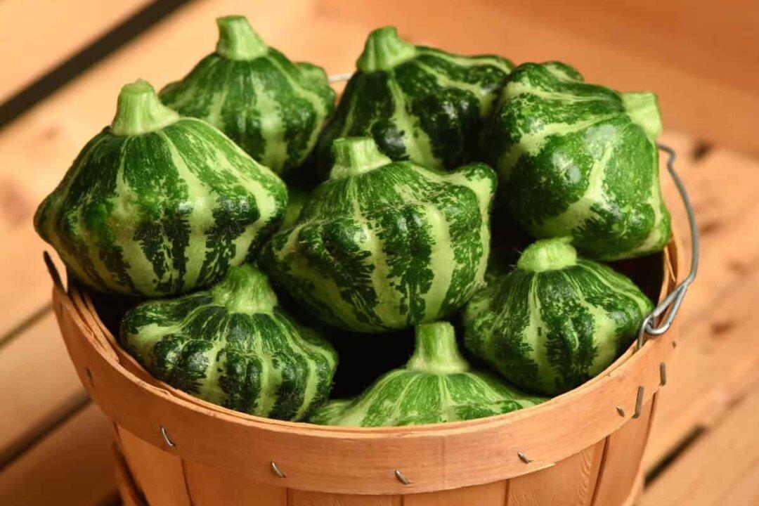 All-America Selections Vegetable Winners for 2025