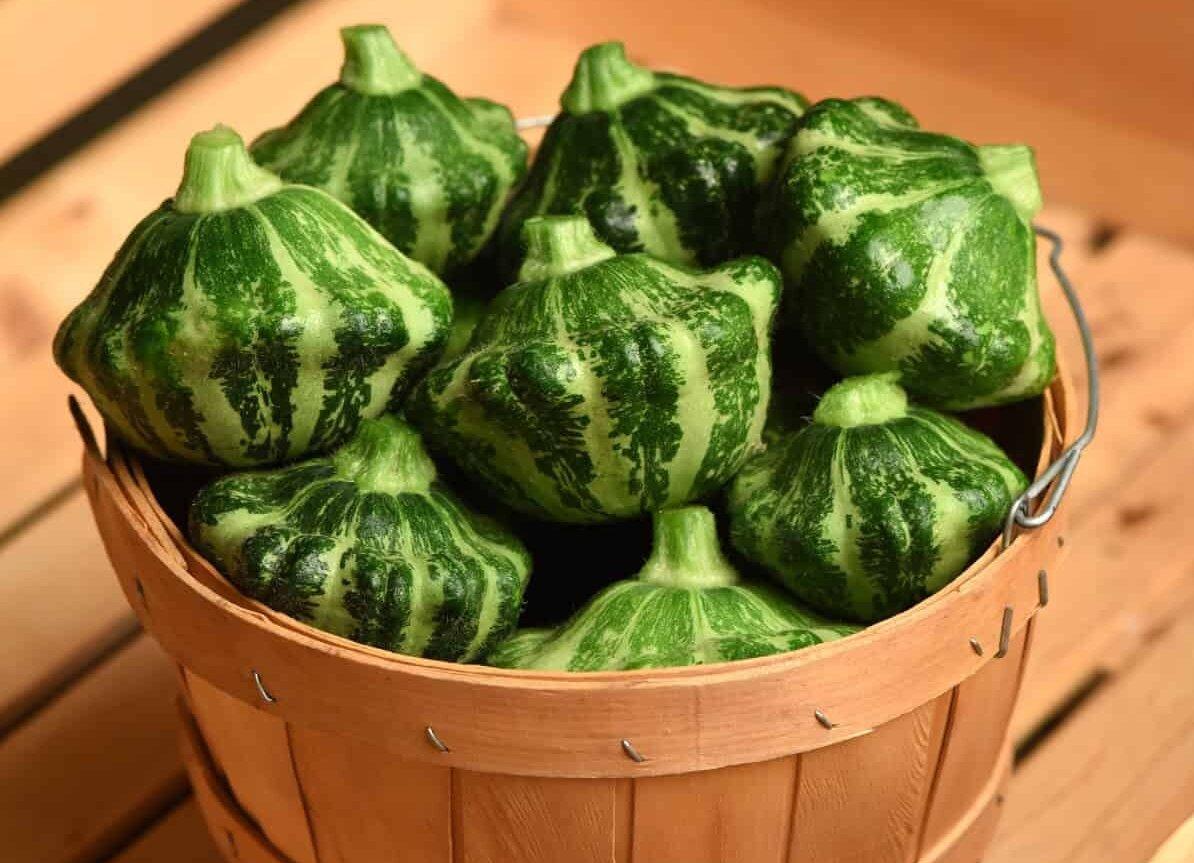 All-America Selections Vegetable Winners for 2025