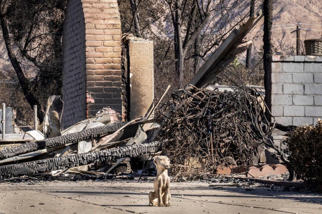 Coroner Confirms 30th Fatality in Los Angeles County Fires