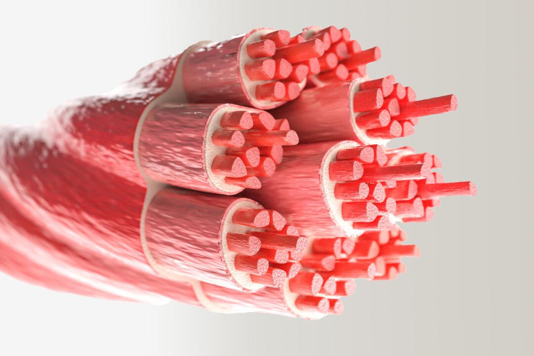 Fat Within Muscles More Dangerous for Heart Than Overall Body Weight