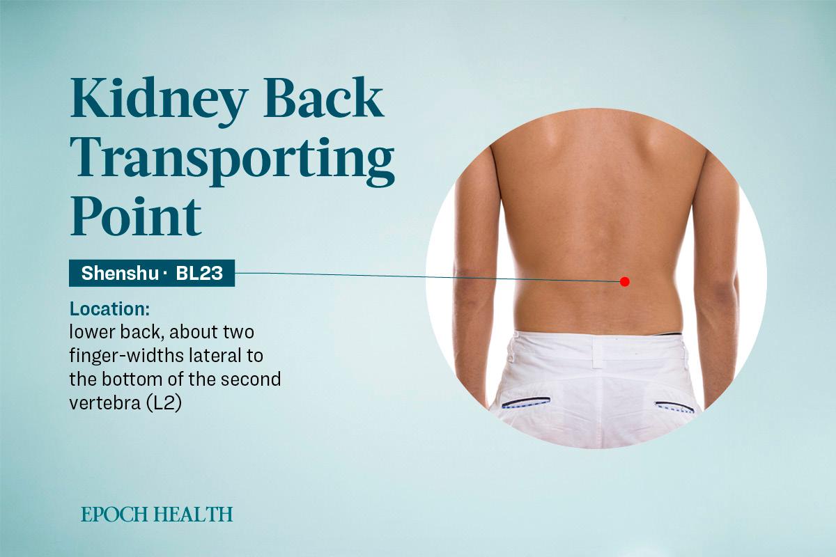 Location of the shenshu acupoint. (The Epoch Times)