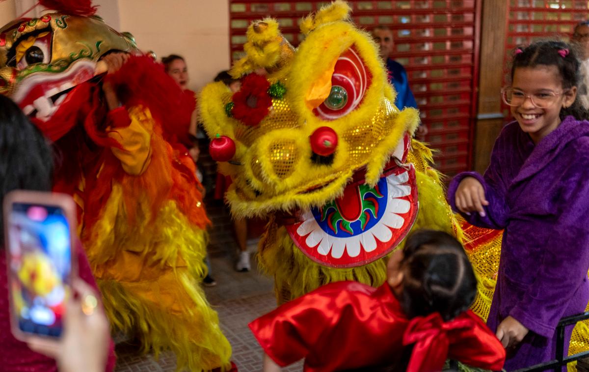 Millions Around the World Celebrate Chinese New Year