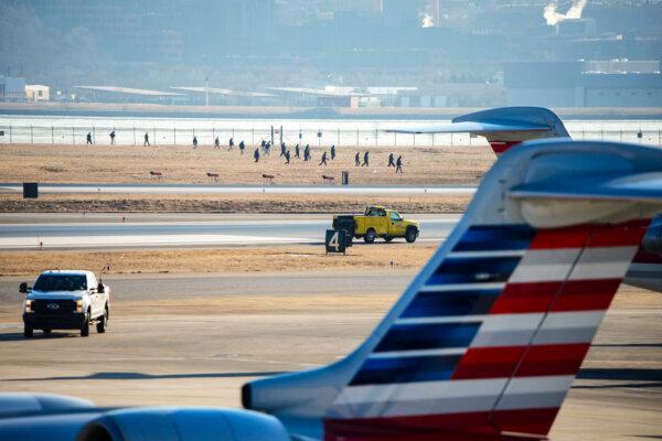 Investigators walk the grounds of the Reagan National Airport as they work after the crash last night of the American Airlines plane on the Potomac River as it approached the Reagan National Airport in Arlington, Va., on Jan. 30, 2025. (Andrew Harnik/Getty Images)