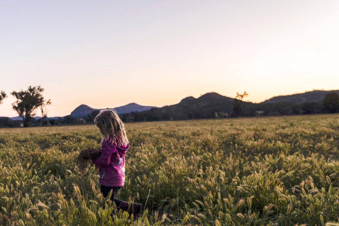New $300 Million Scheme to Offer Farmers Discounted Loans to Cut Emissions