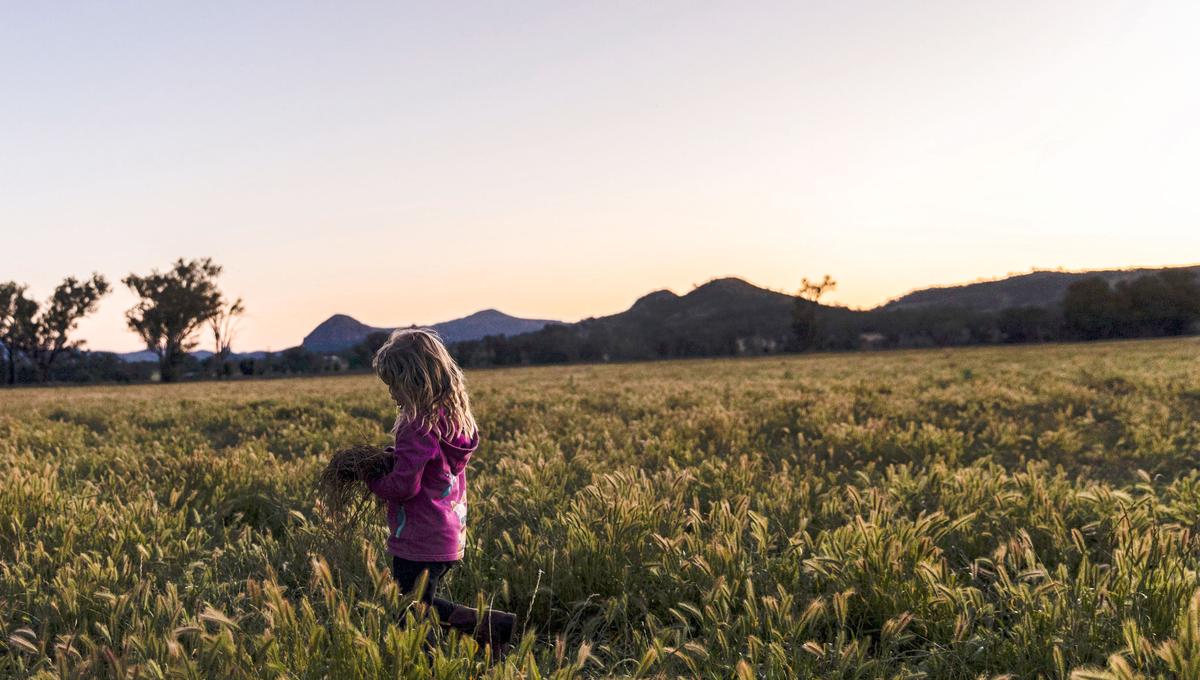 New $300 Million Scheme to Offer Farmers Discounted Loans to Cut Emissions