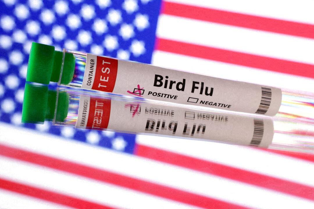 First Human Case of Bird Flu Identified in Wyoming