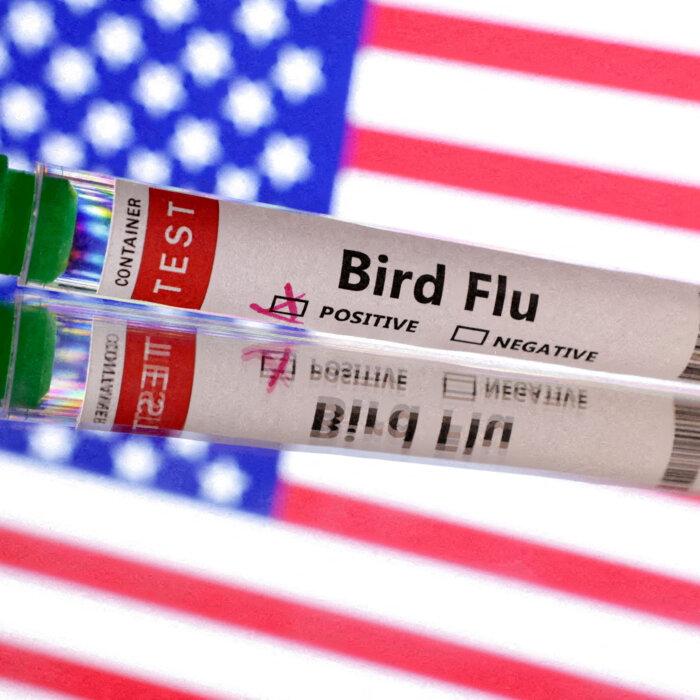 First Human Case of Bird Flu Identified in Wyoming