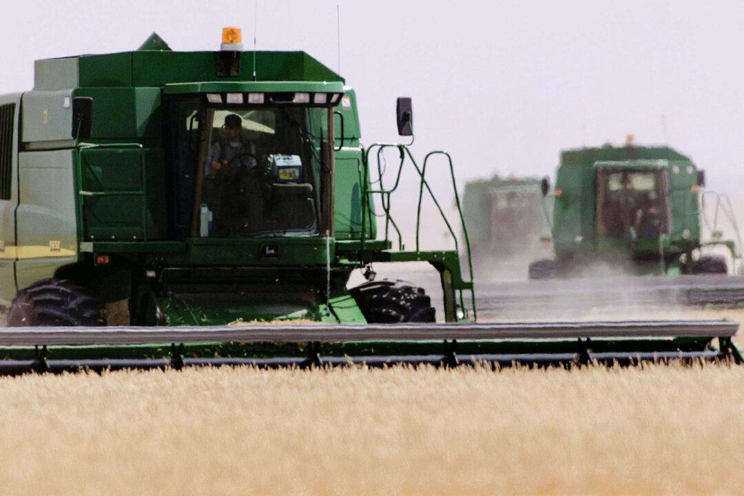 Canadian Farmers Brace for Double-Edged Tariffs