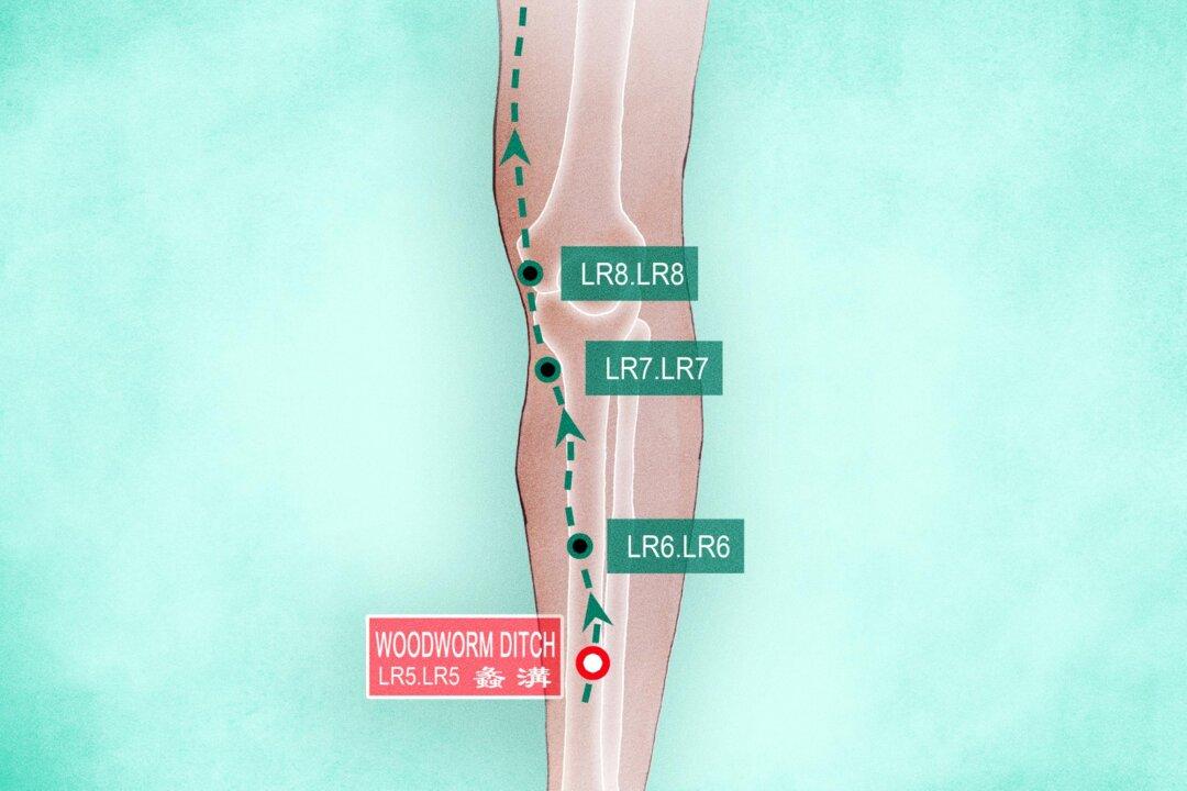 Li Gou (LR5): An Acupoint Essential for Every Woman