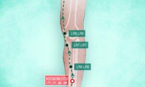 Li Gou (LR5): An Acupoint Essential for Every Woman