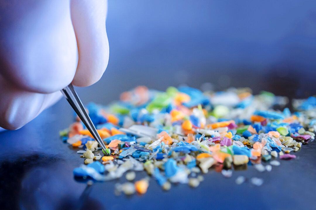 Microplastic Found in Brain Weighs as Much as a Plastic Spoon: Study