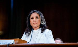 Senate Committee Advances Gabbard’s Nomination for Director of National Intelligence