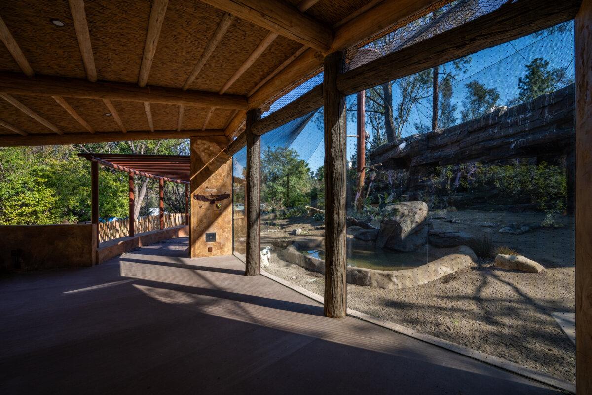 A new cape vulture exhibit at the Los Angeles zoo. (Courtesy of Los Angeles Zoo)