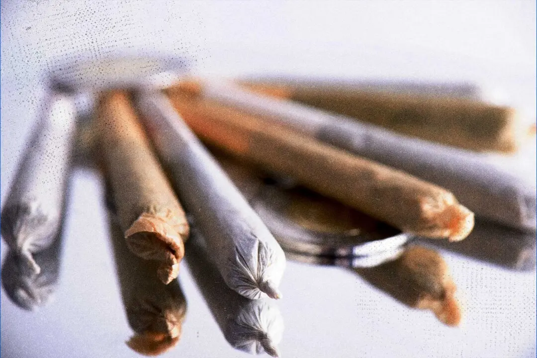 Youth Who Use Cannabis at Early Age More Likely to Have Health Problems as Adults, McGill Study Finds