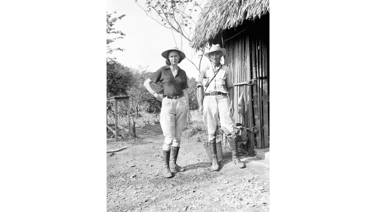 Matthew W. Stirling: Archaeologist of the Americas