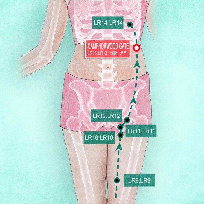 Camphorwood Gate: Your (and Your Spleen’s) New Best Friend