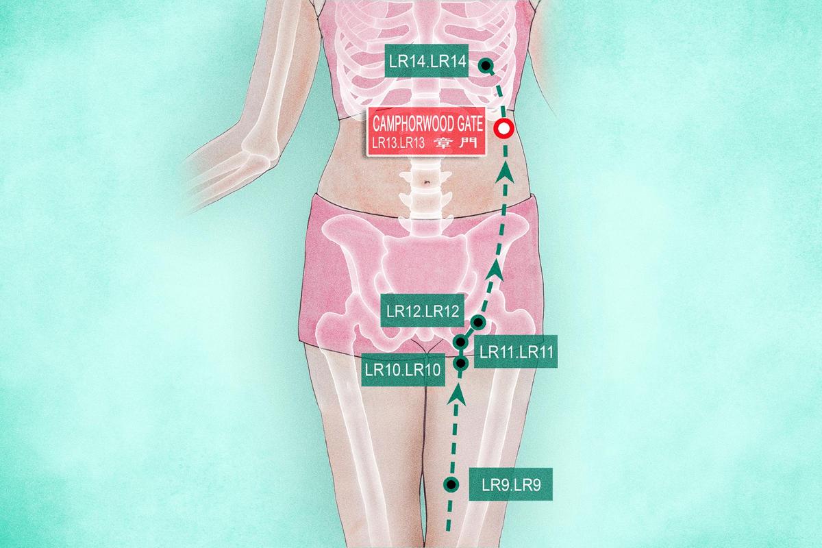 Camphorwood Gate: Your (and Your Spleen’s) New Best Friend