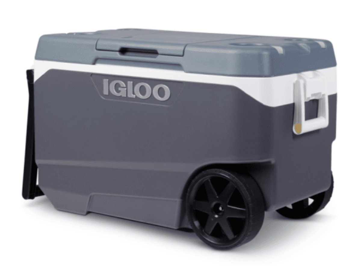 Igloo Coolers Recalled in Canada, US After Reports of Fingertip Amputations