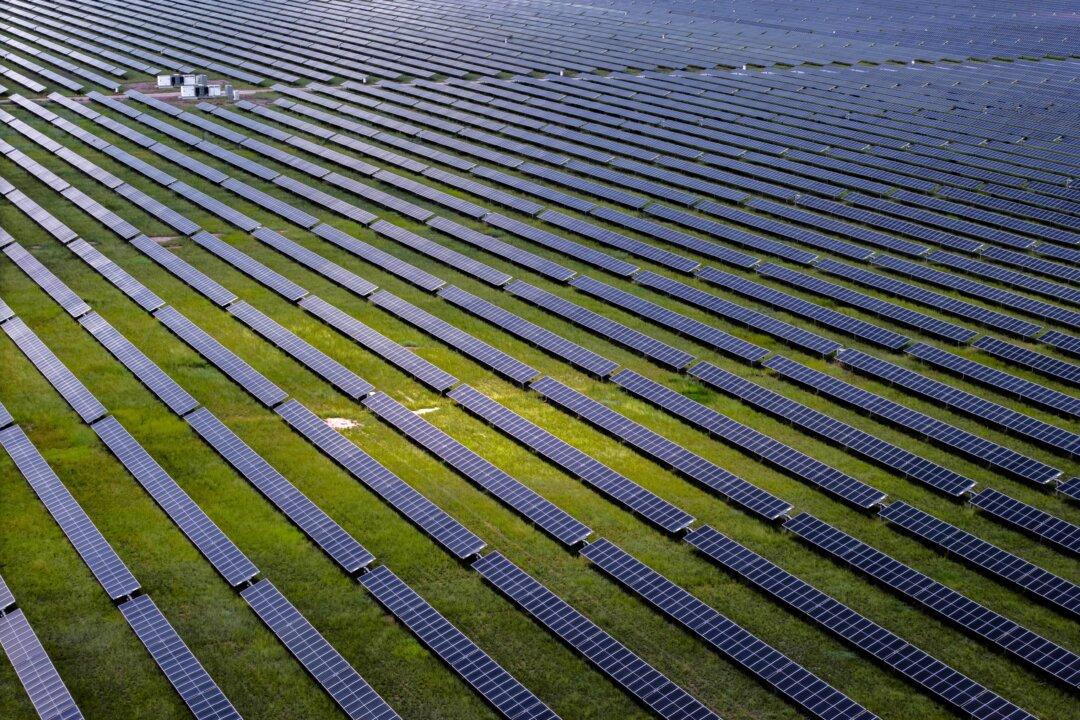 Budget 2025: $4.3 Billion for New Net Zero Measures Across Next 3 Years