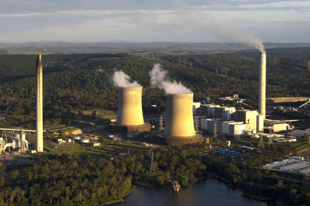 Cannabis or Coal? The Topics Shaping Australia’s Election