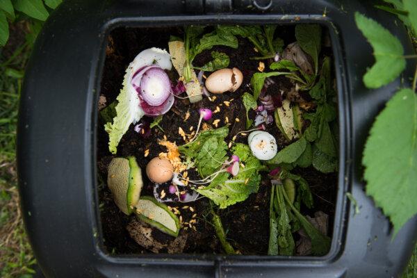 Some nurseries offer discounts on bulk sales for garden soil or compost. (Anna Hoychuk/Shutterstock)