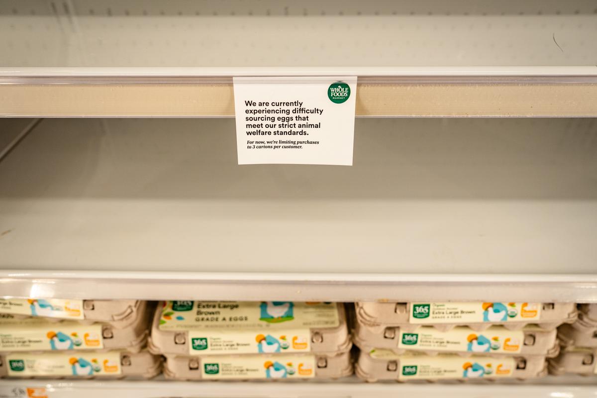 Soaring Egg Prices—Is There an End in Sight?