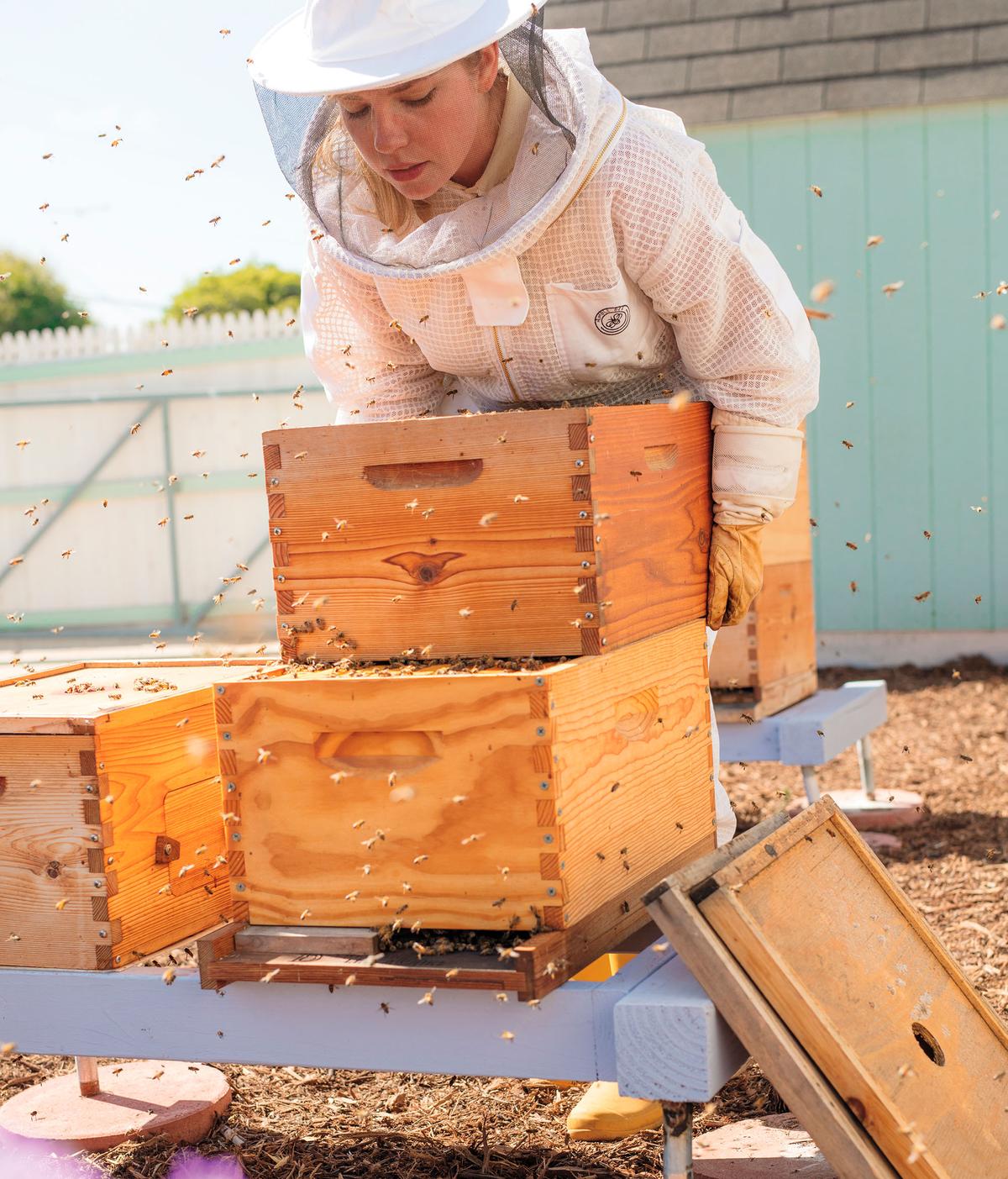 Kearney still wears a full bee suit when working. (Tosca Radigonda)