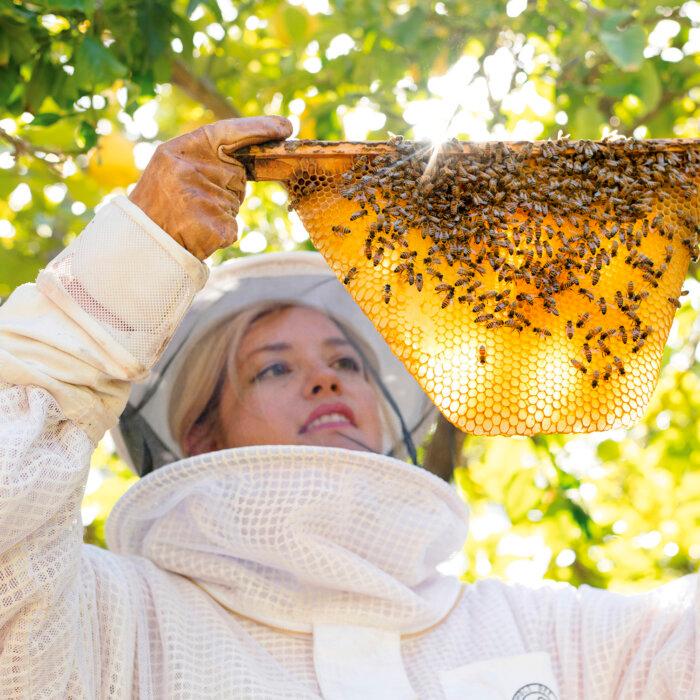 From the Rat Race to Beehives: How a Self-Taught Beekeeper Found Her Calling