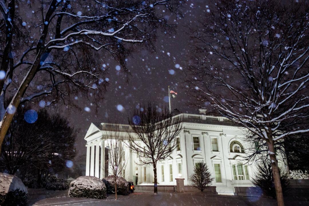 Elon Musk Not DOGE Employee, Has No Decision-Making Authority: White House