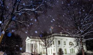 Elon Musk Not DOGE Employee, Has No Decision-Making Authority: White House