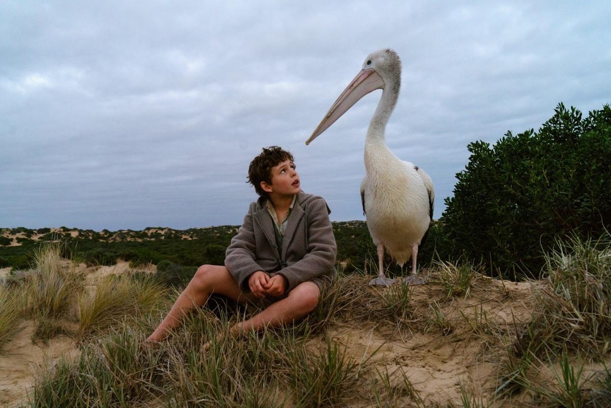 ‘Storm Boy’ (2019): A Boy Saves a Pelican