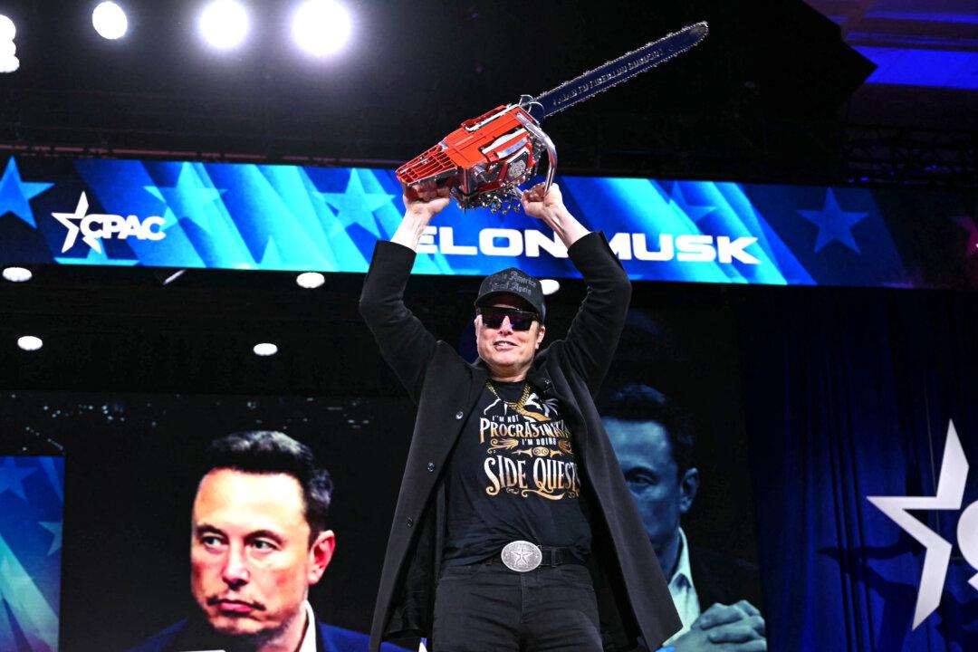 Musk’s Chainsaw of Damocles