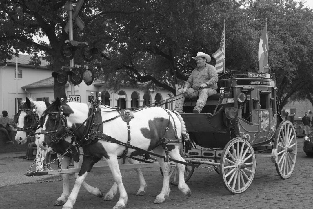 Henry P. Leland’s Short Story, ‘The Dutchman Who Had the “Small Pox”’