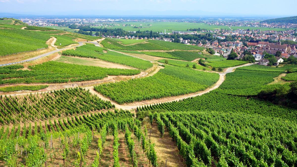 Rick Steves’ Europe: German Flavors in French Alsace