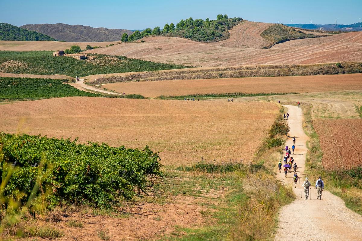 The road less traveled: pilgrims on the Camino de Santiago. (Burkard Meyendriesch/Unsplash)
