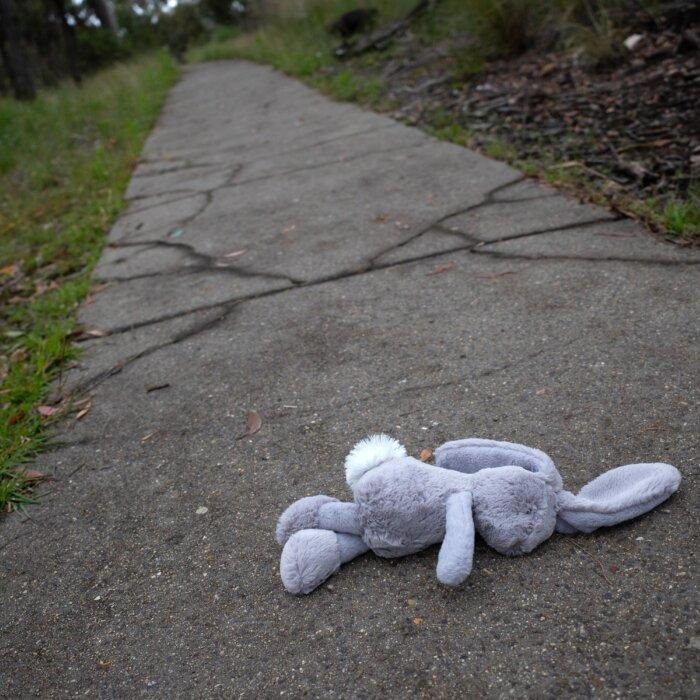 Queensland to Ban Puberty Blocking Drugs Until 2031 Amid New Report Release