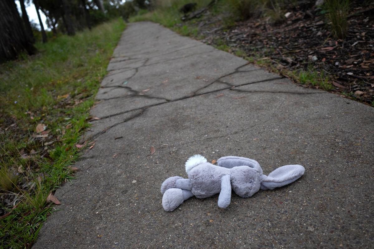 Police File Extra 83 Charges Against Accused Childcare Paedophile thumbnail