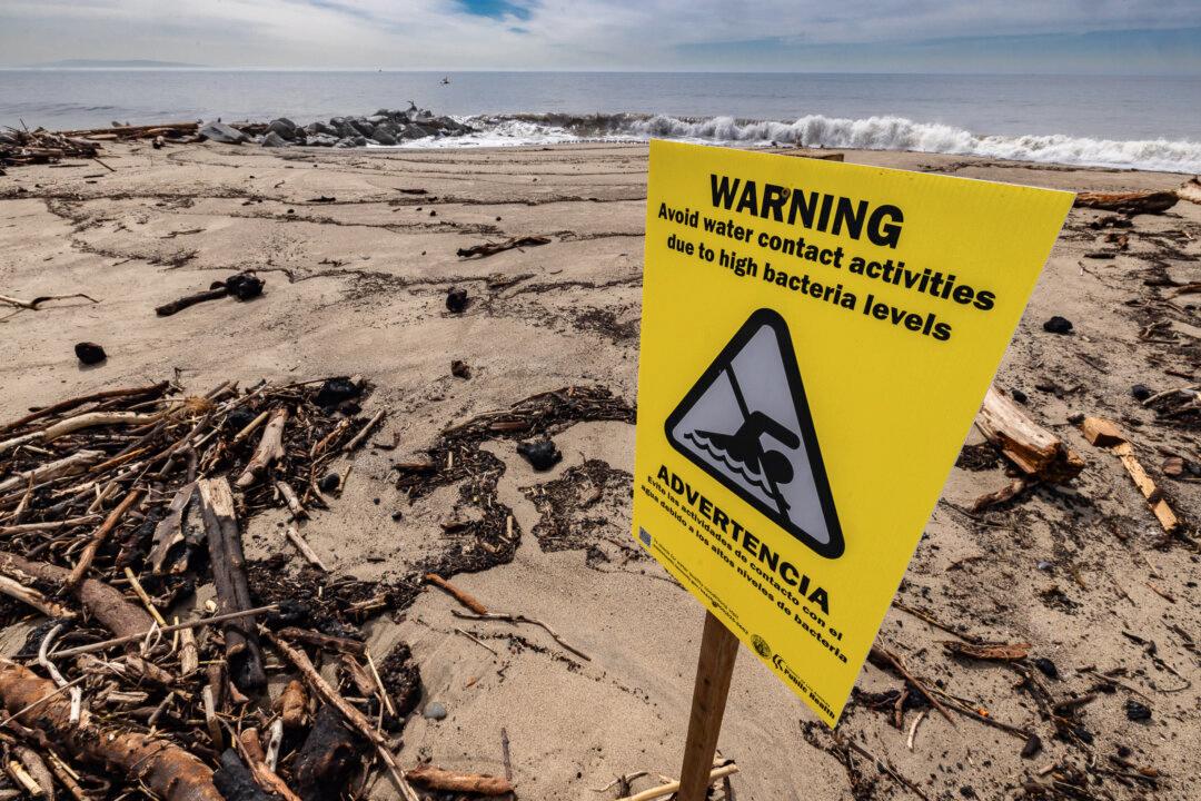 Northern Los Angeles Beaches Become a Temporary Home for Fire Debris