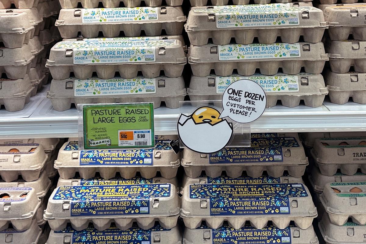 Turkey to Export 15,000 Tonnes of Eggs to US to Ease Bird Flu Disruptions