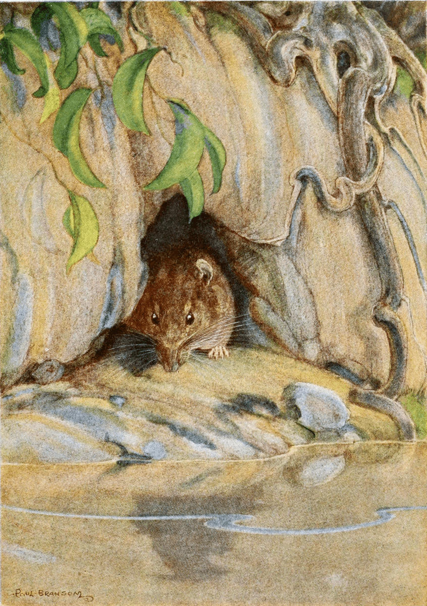 In this illustration from the 1913 edition of the "Wind in the Willows," Rat lives near the river. (Public Domain)