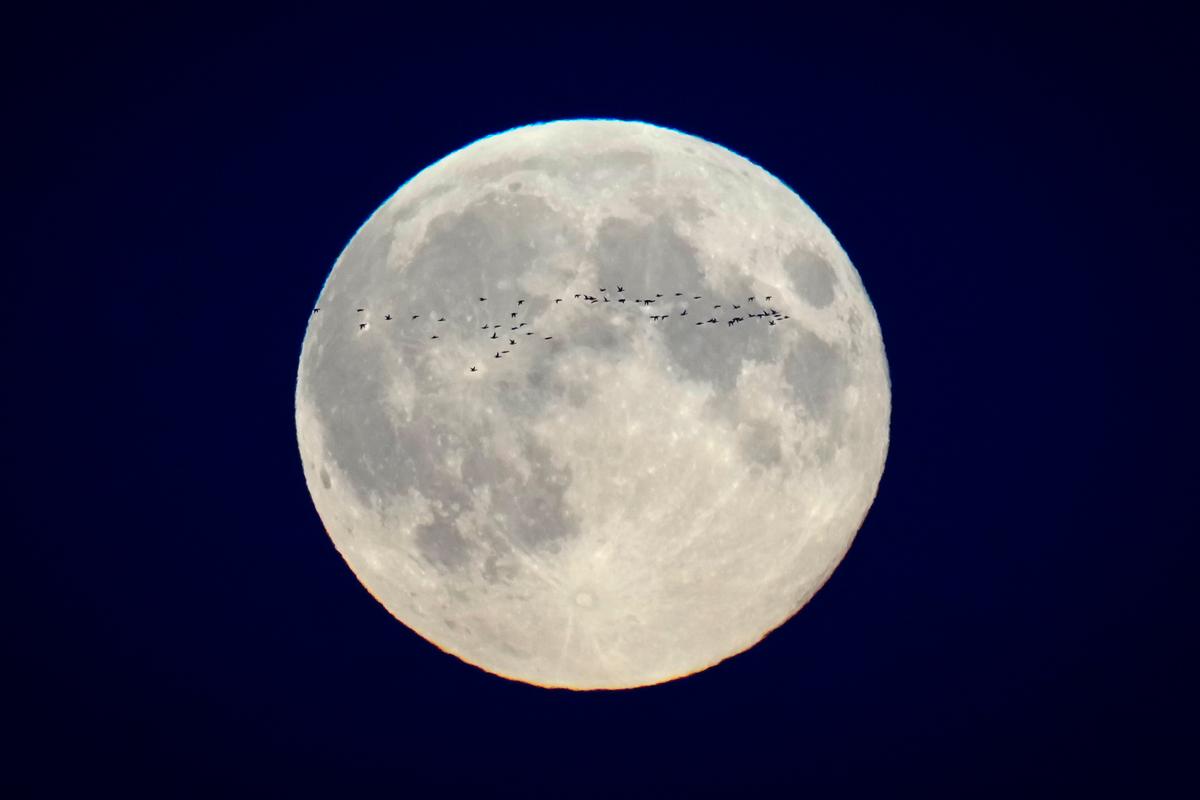 Canadian-Made Lunar Dust Repellent Heading to the Moon Aboard Firefly’s Blue Ghost