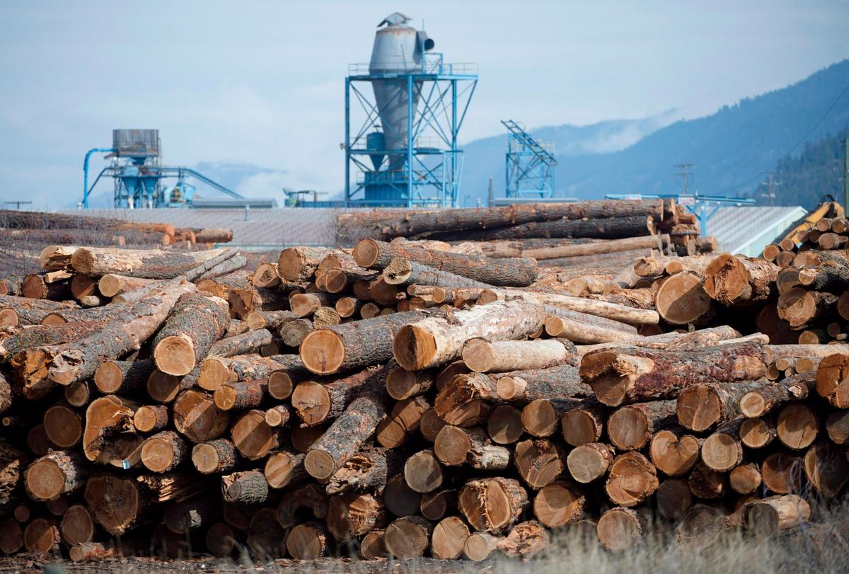 US Plans to Nearly Triple Anti-Dumping Duty on Canadian Softwood as Tariffs Loom