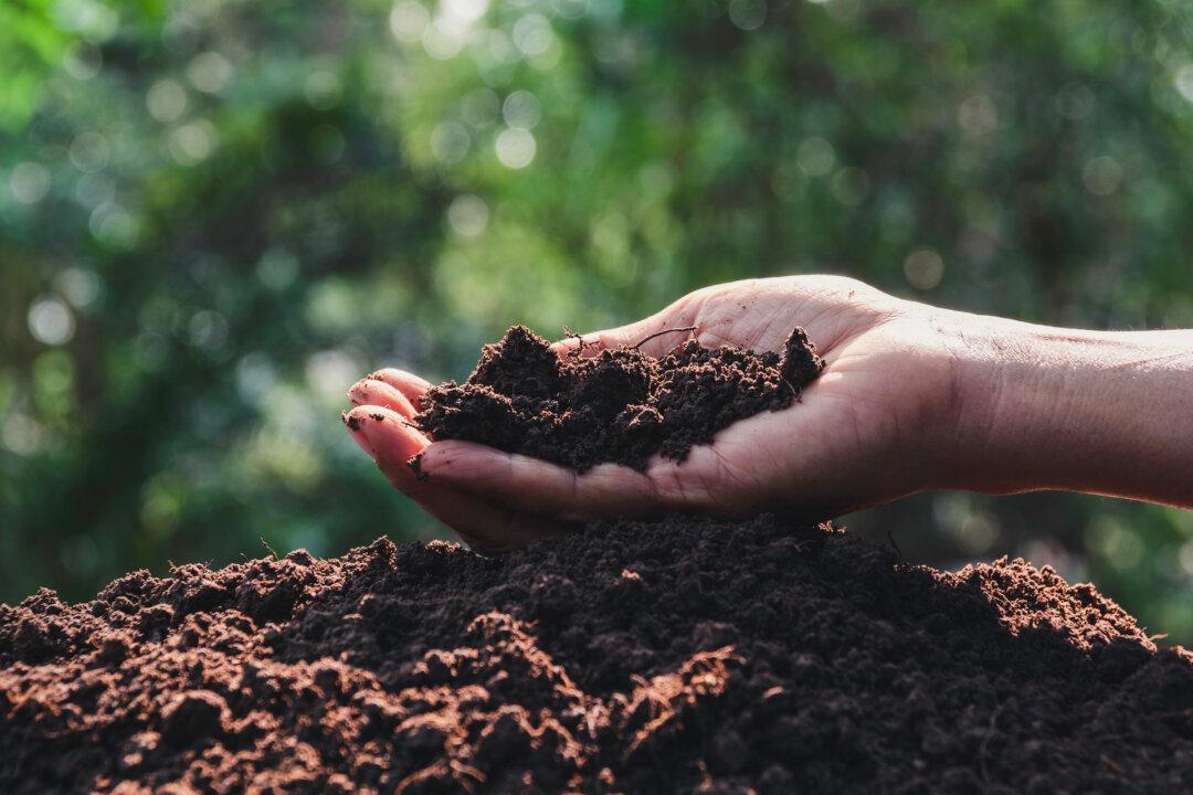 Don’t Treat Soil Like Dirt