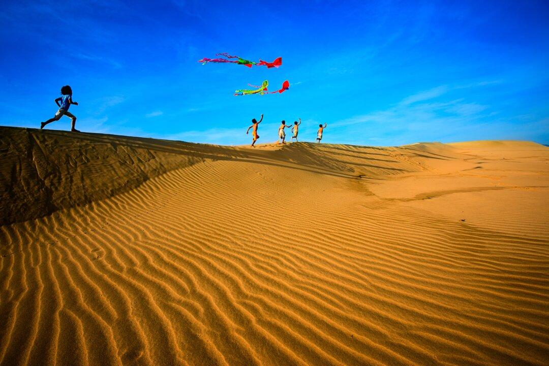 NTD Invites Entries to Worldwide Photography Competition