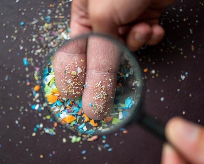 Microplastics Found in Blood and Organs Linked to Multiple Cancer Risks