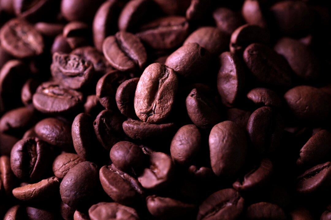Global Coffee Trade Grinding to Halt, Hit Hard by Brutal Prices Hikes
